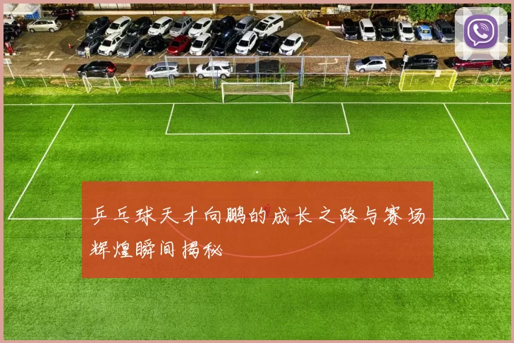 乒乓球天才向鹏的成长之路与赛场辉煌瞬间揭秘